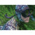 Riffe Mantis Mask: Picture 2 thumbnail